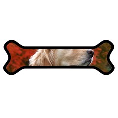 Dog-photo Cute Magnet (dog Bone)